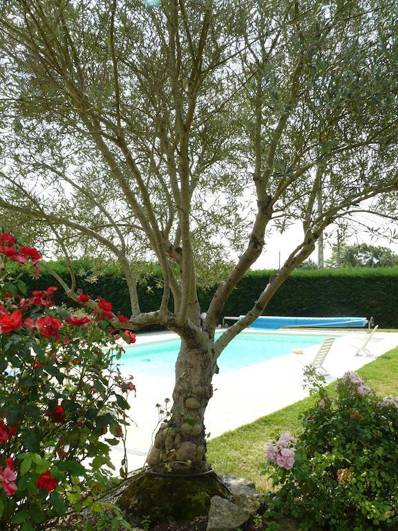 Le Clos De La Vigne Montreuil  Exteriör bild